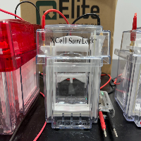 Thermo Fisher Scientific XCell SureLock™ Mini and Midi Gel Electrophoresis Systems - Quantity 8 image 3